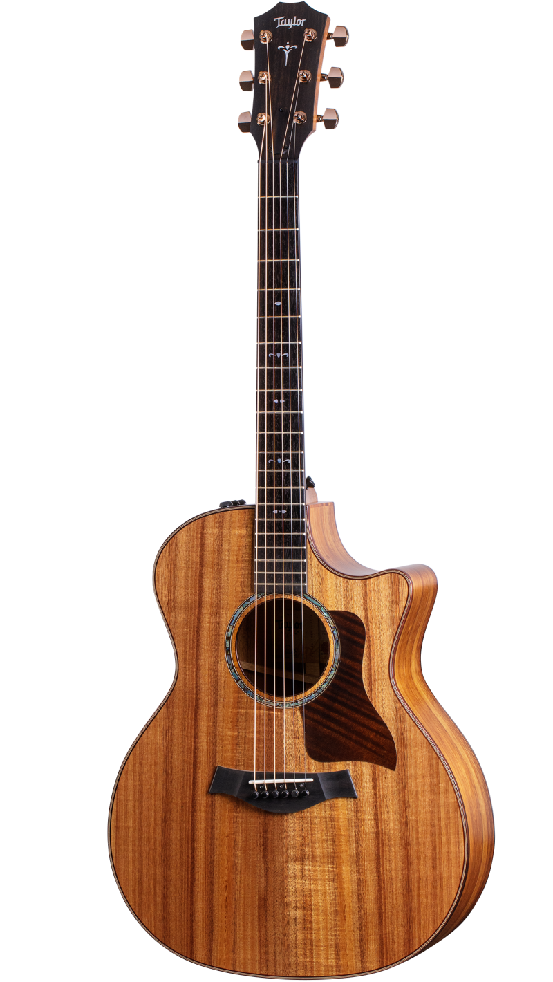 Taylor guitar best sale acoustic electric