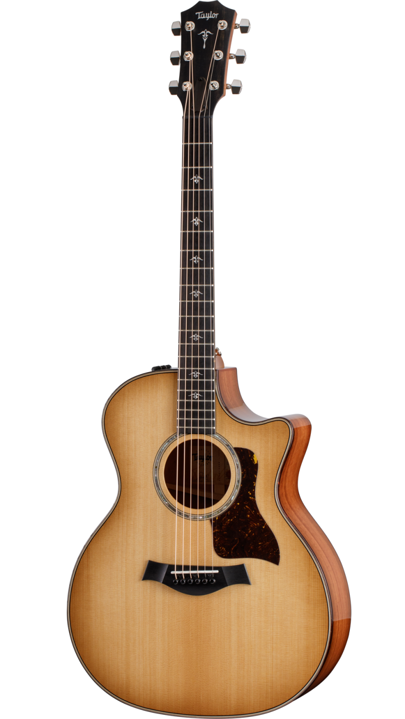 514ce Urban Ironbark Acoustic-Electric Guitar | Taylor Guitars