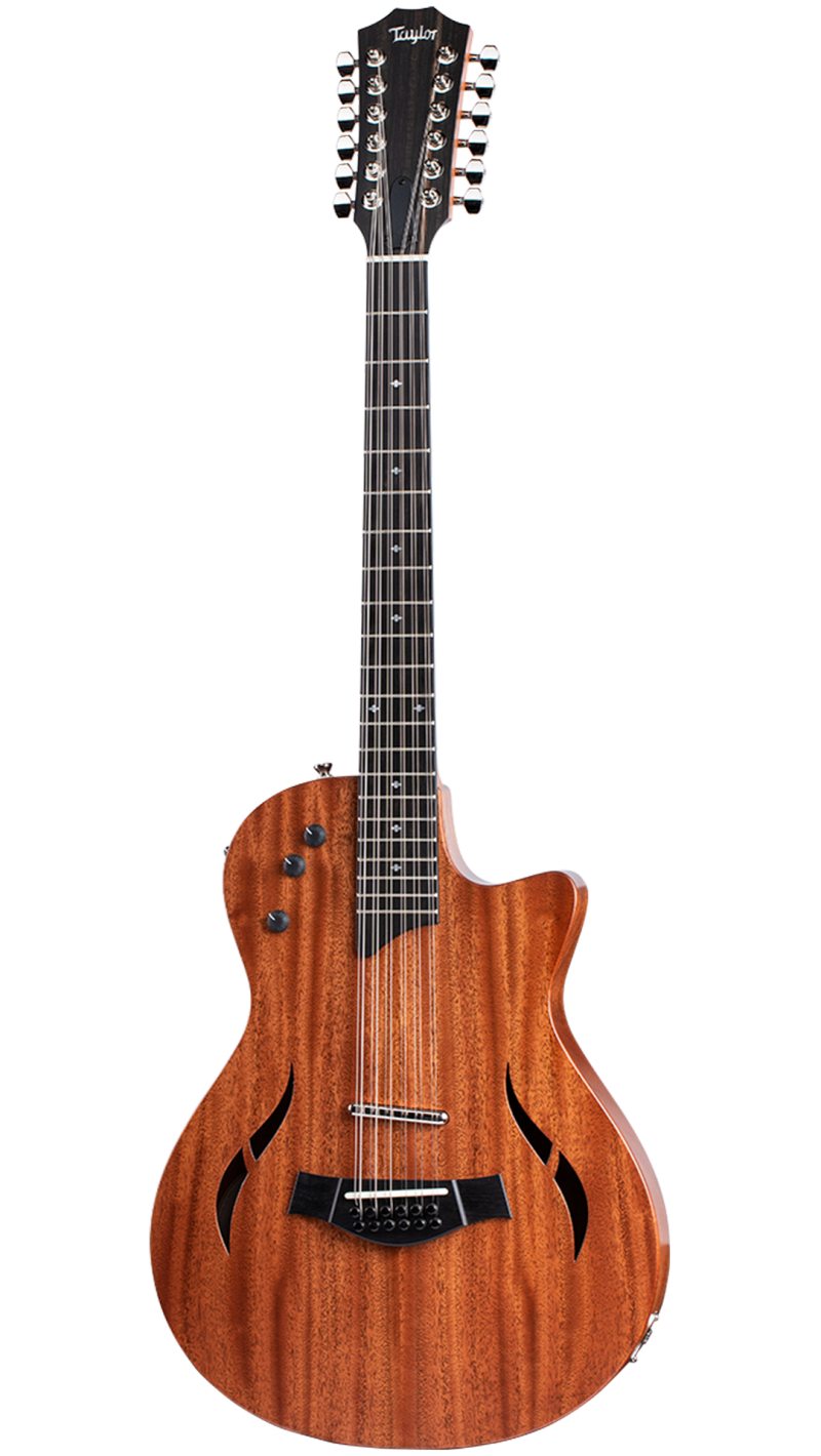 Does Taylor Make an Electric Guitar