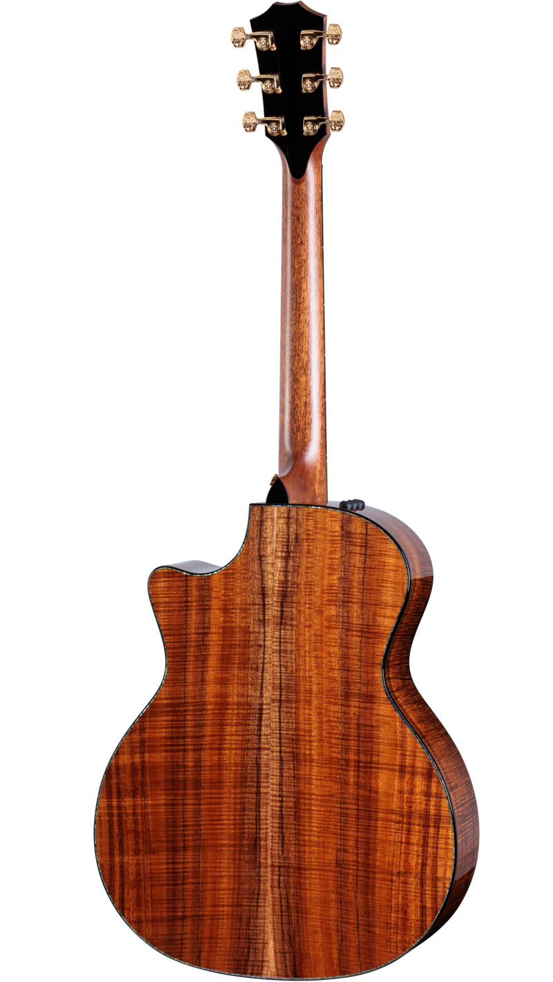 Taylor GS Mini Koa plus (2024年製) 50th Anniversary PS24ce LTD & Circa 74 Amp Hawaiian Koa