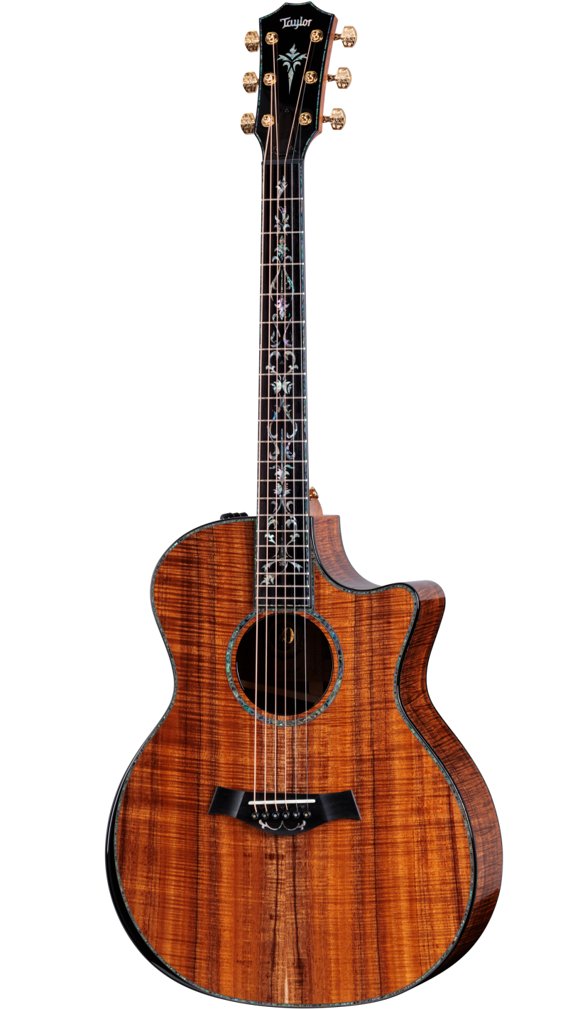 Taylor Guitars