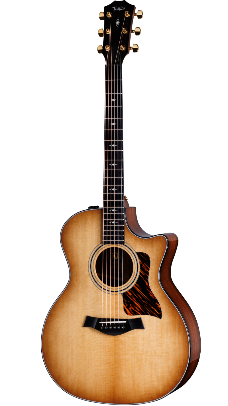 2020 taylor 314ce ltd store