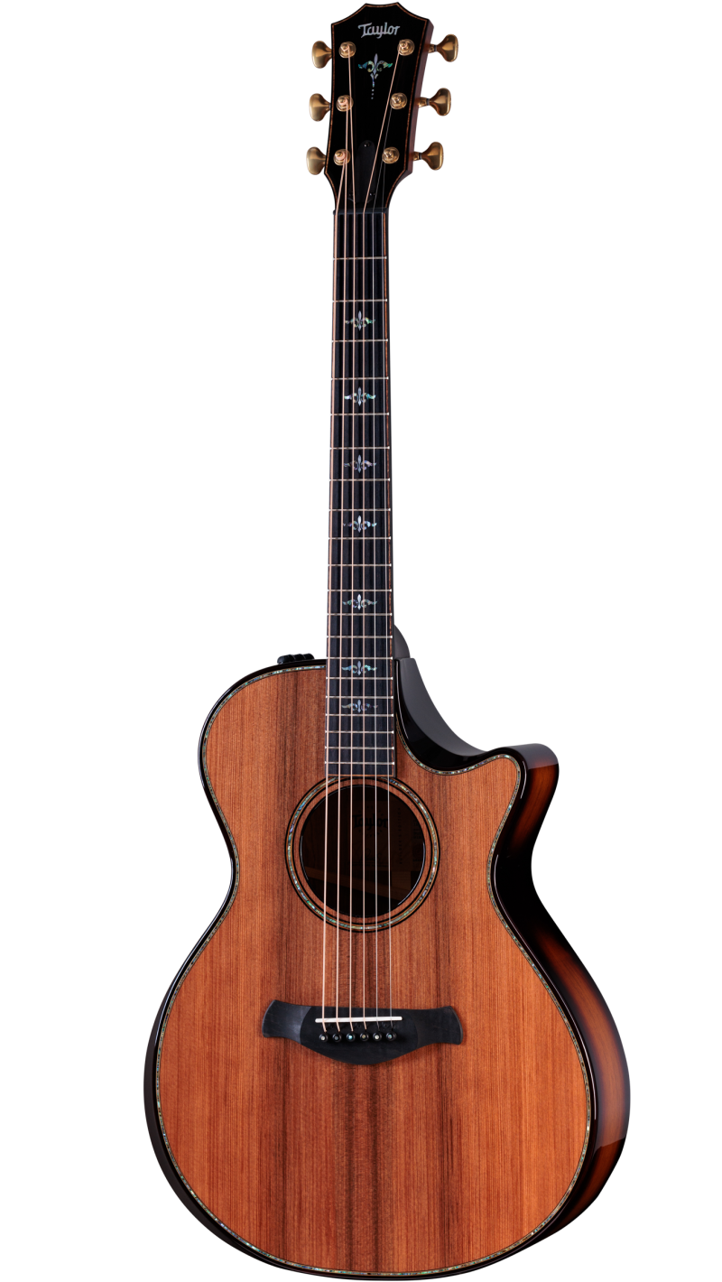 Taylor 912ce builder's edition for sale top