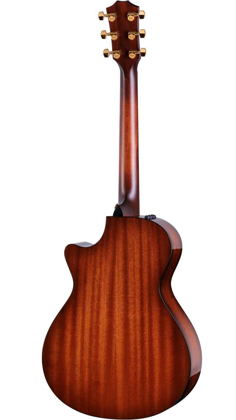 50th Anniversary 312ce LTD Sapele Acoustic-Electric Guitar