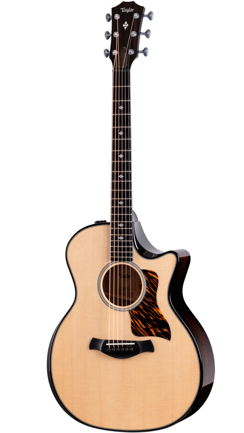 専門店では Taylor-Builder’s-Edition-514ce ギター