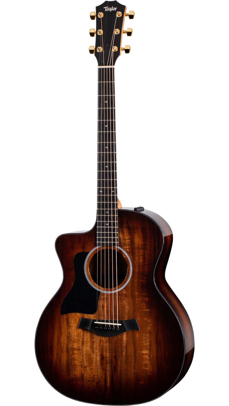 Taylor 224ce dlx top