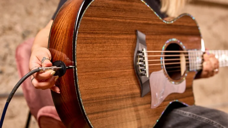 Expression System 2 Acoustic Pickup