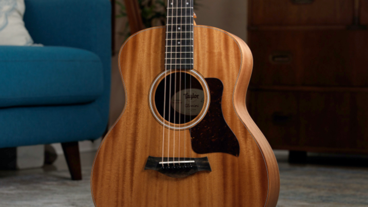 Taylor Necks Offer Maximum Playability