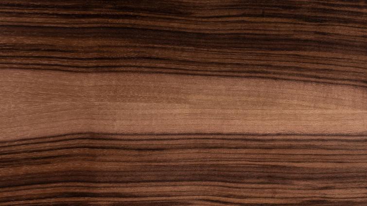 Closeup on Layered walnut back