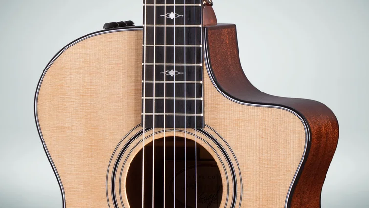 312ce-N Sapele Acoustic-Electric Guitar | Taylor Guitars