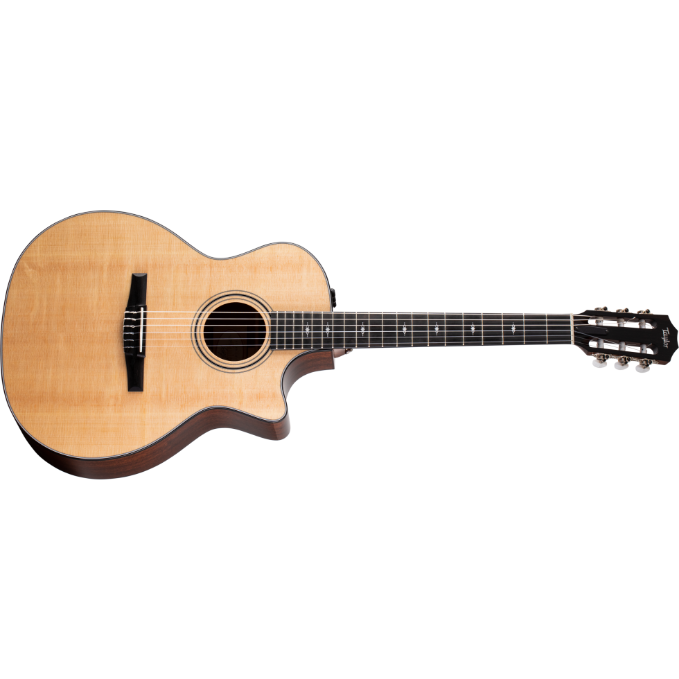 Taylor 317e V-class アコースティックギター ハードケース付き 楽天市場】Taylor（テイラー）317e V-Class : STARROW ONLINE STORE