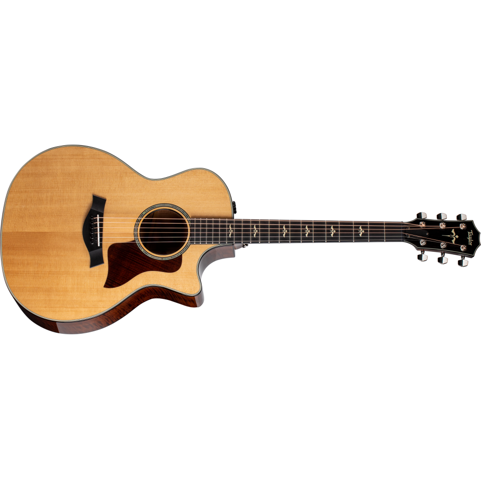Taylor Builder's Edition 614ce V-Class Grand Auditorium