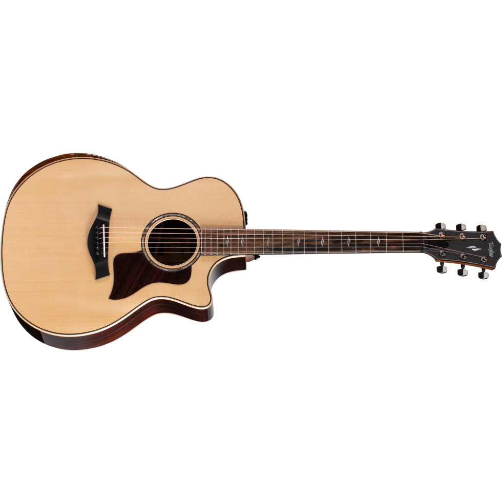 Taylor エレアコ 814ce TAYLOR 814ce V-Class テイラー ｜イケベ楽器店オンラインストア