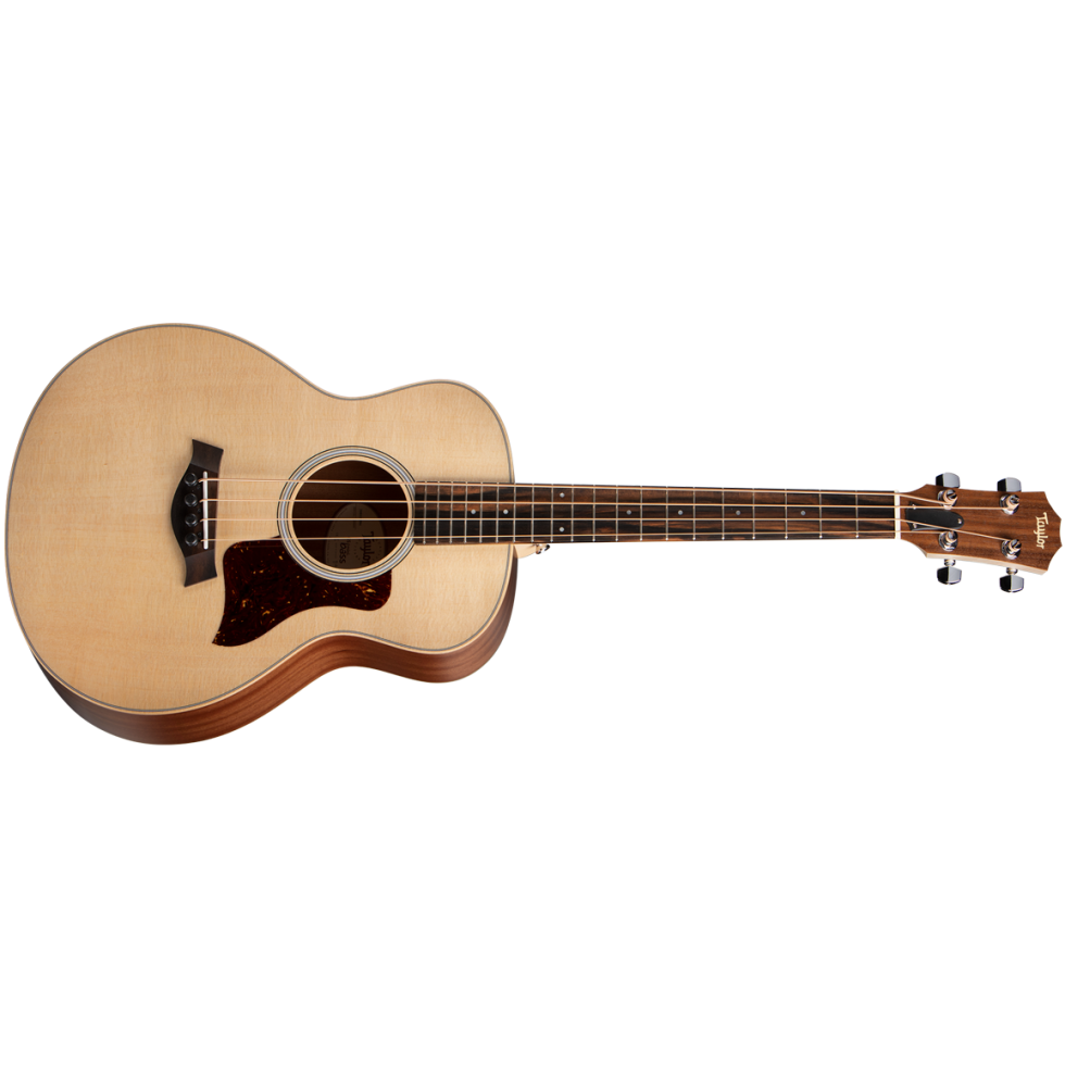 GSMinie-bass-fr-2019.png?itok=