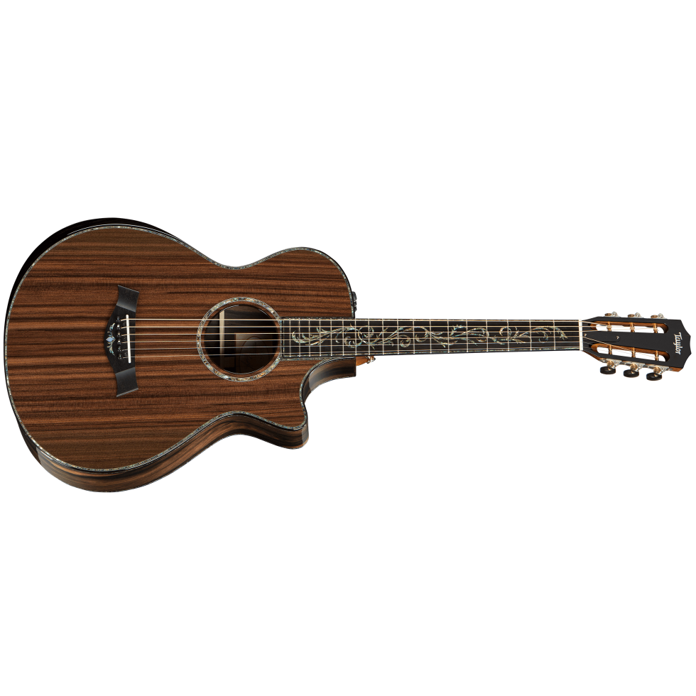 Taylor academy12アコースティックギター Taylor-Academy-12e-N LTD-