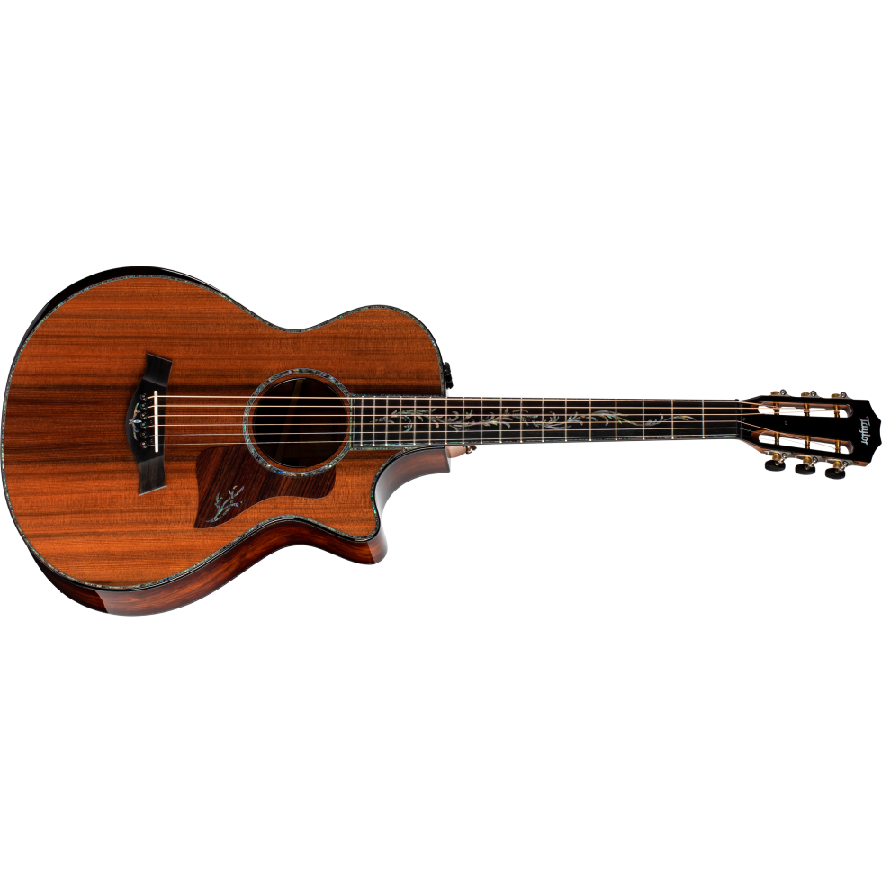 Taylor-PS12ce-12Fret-Honduran-