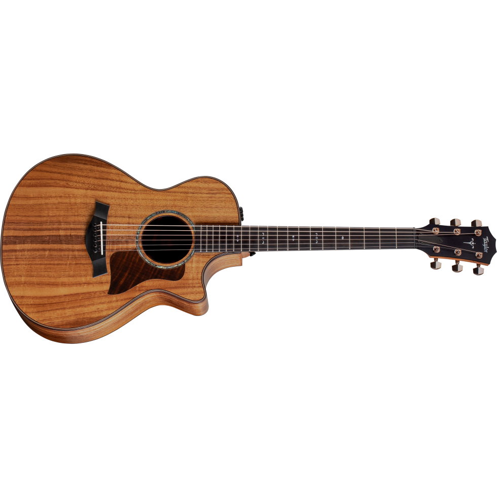 Taylor-722ce-Koa-1202022192-
