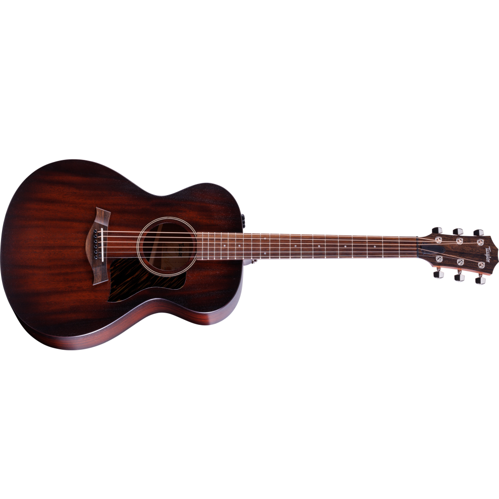 AD22e Acoustic Guitar | Taylor Guitars
