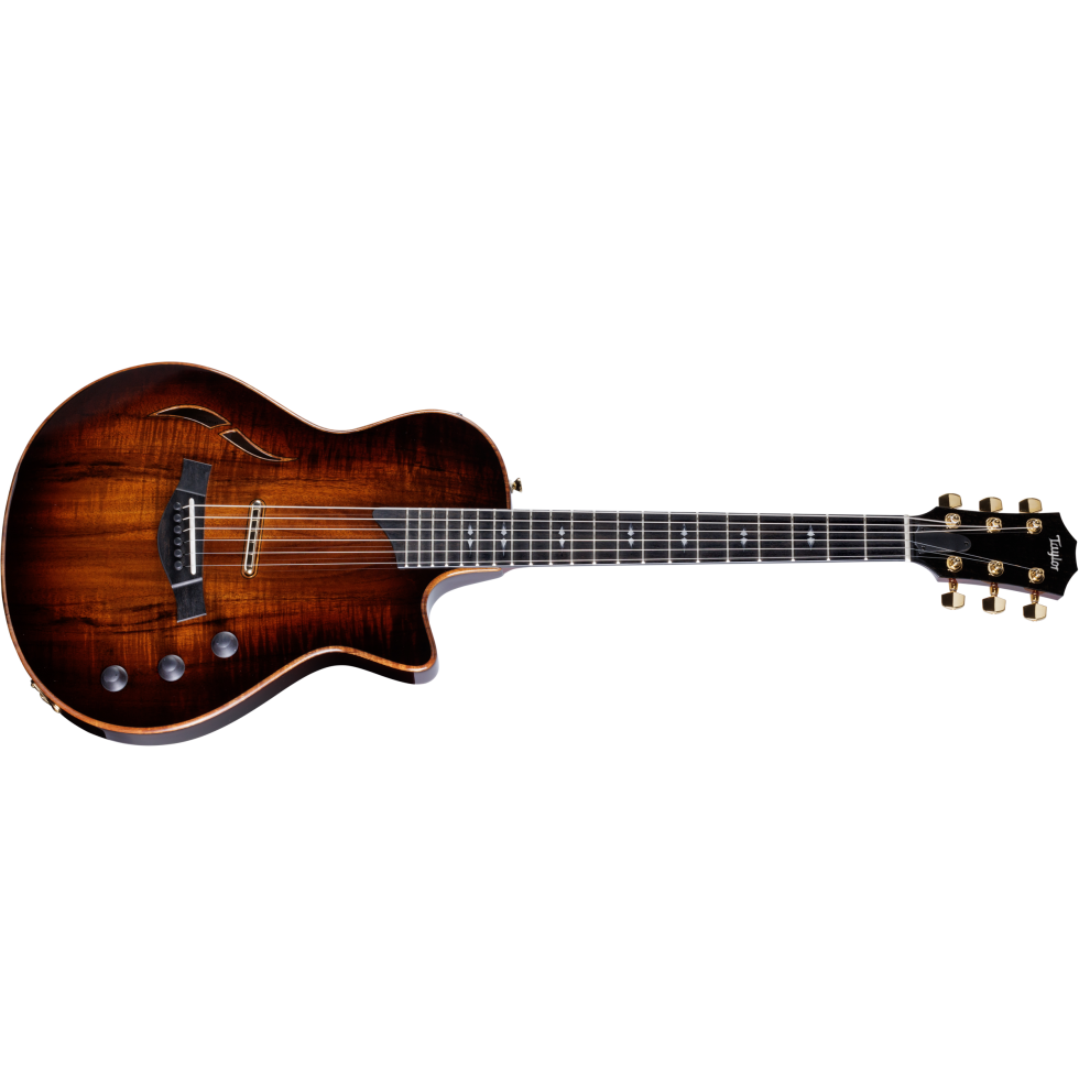 taylor-t5z-custom-1203133141-