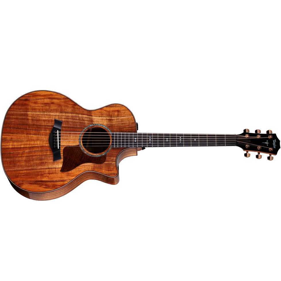 アコースティックギター　Taylor アコースティックギター | Taylor Guitars