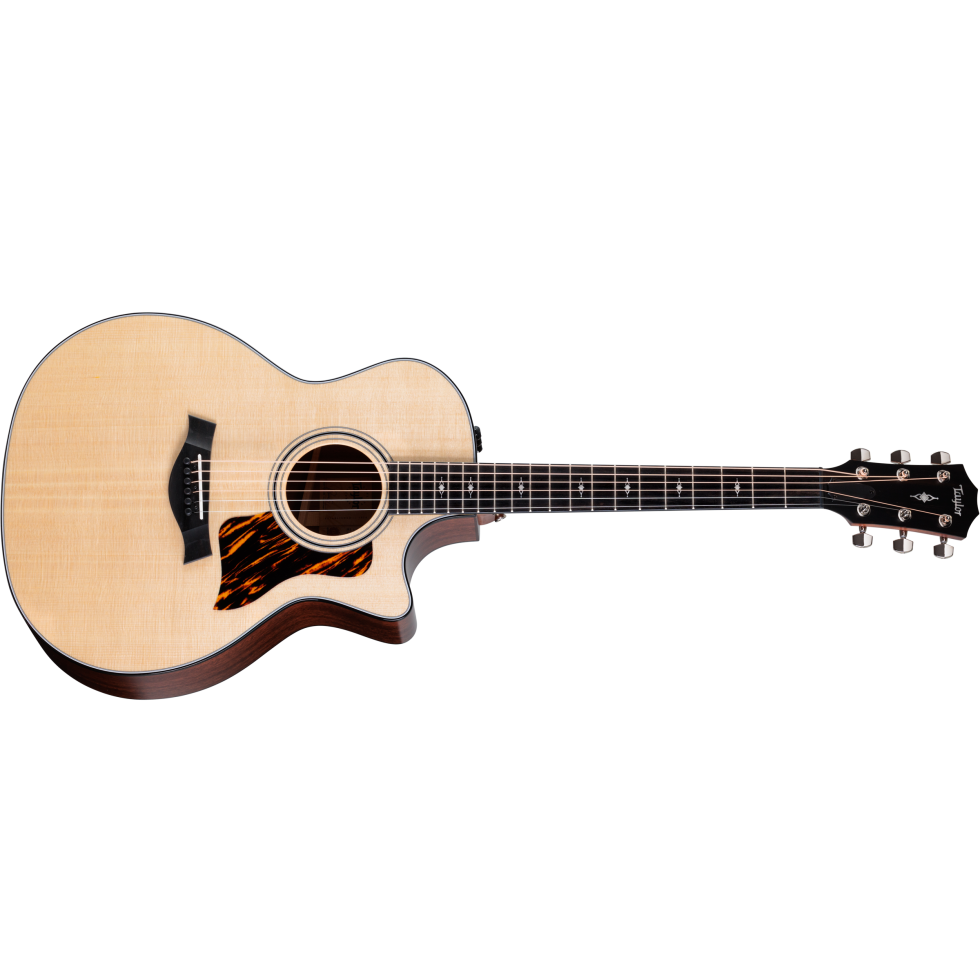 Taylor 314CE オール単板 テイラー314CE 2012年製 Taylor-314ce-1209113069-