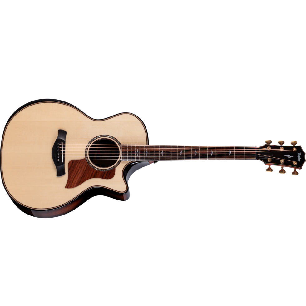 テイラー　アコースティックギター　814ce taylor-814ce-00887766107293-