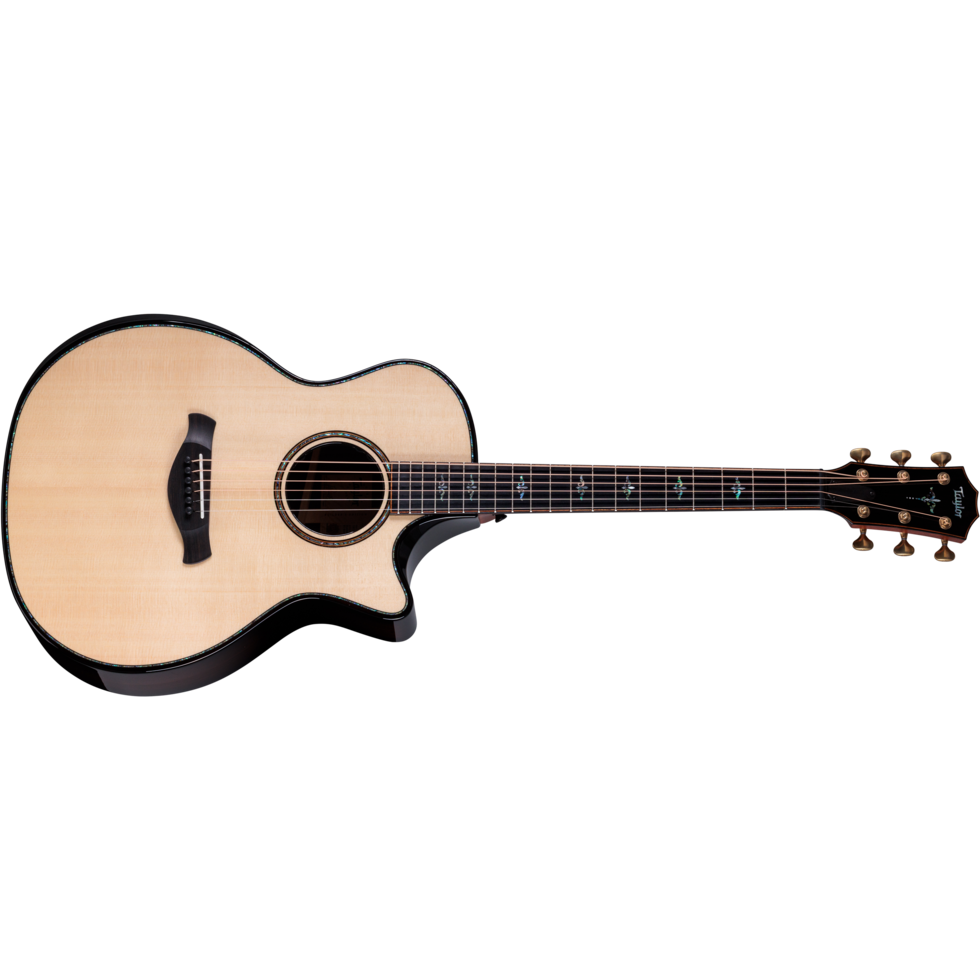 Taylor(テイラー)914ce Builder's Edition Next Generation Builder's Edition 914ce Indian Rosewood Acoustic