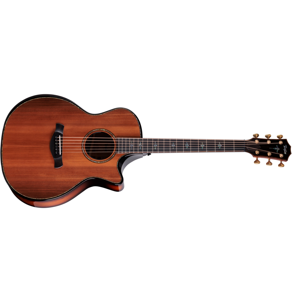 Taylor-Next-Generation-