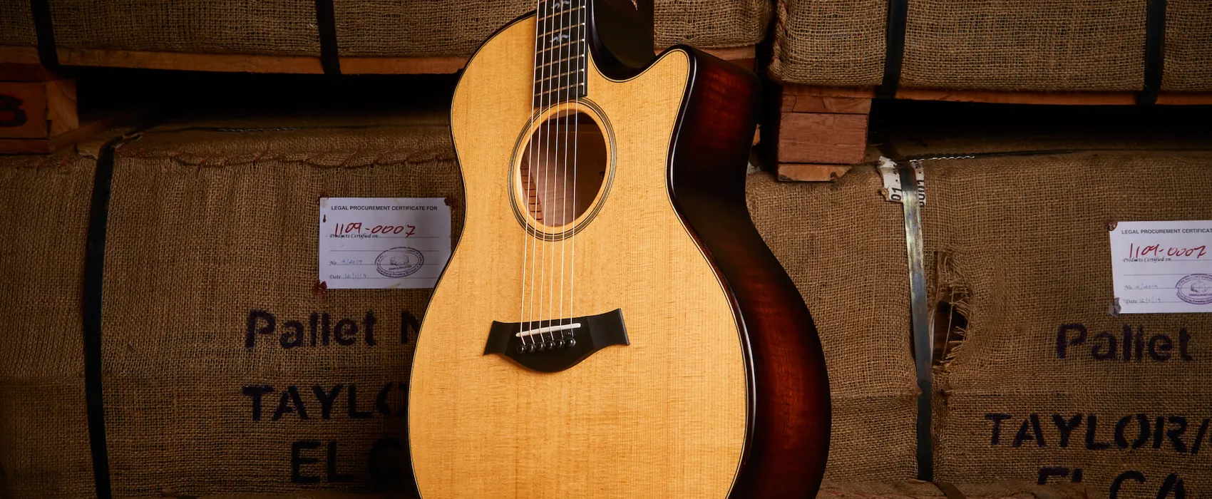 Taylor-BE614ce-Nat-2020