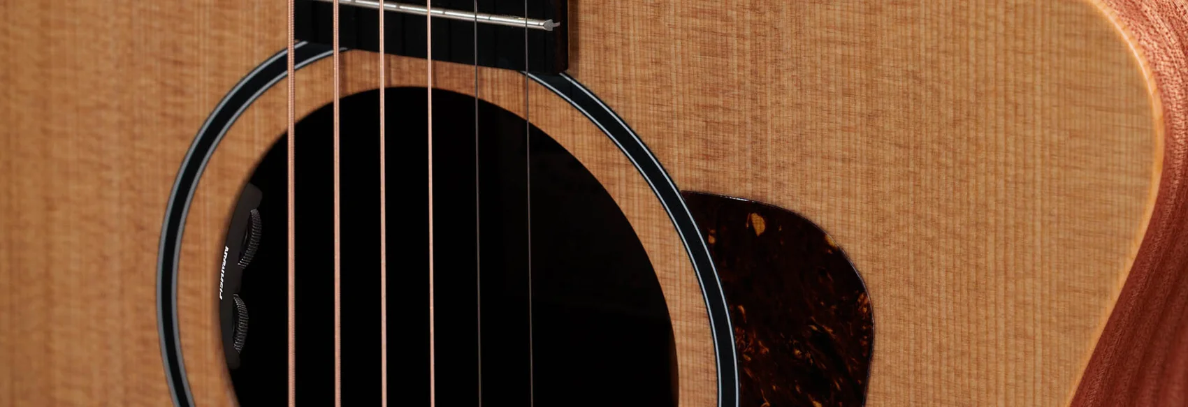 Fishman Sonitone GT2