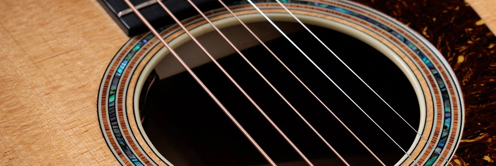 LR Baggs - Element VTC | Taylor Guitars