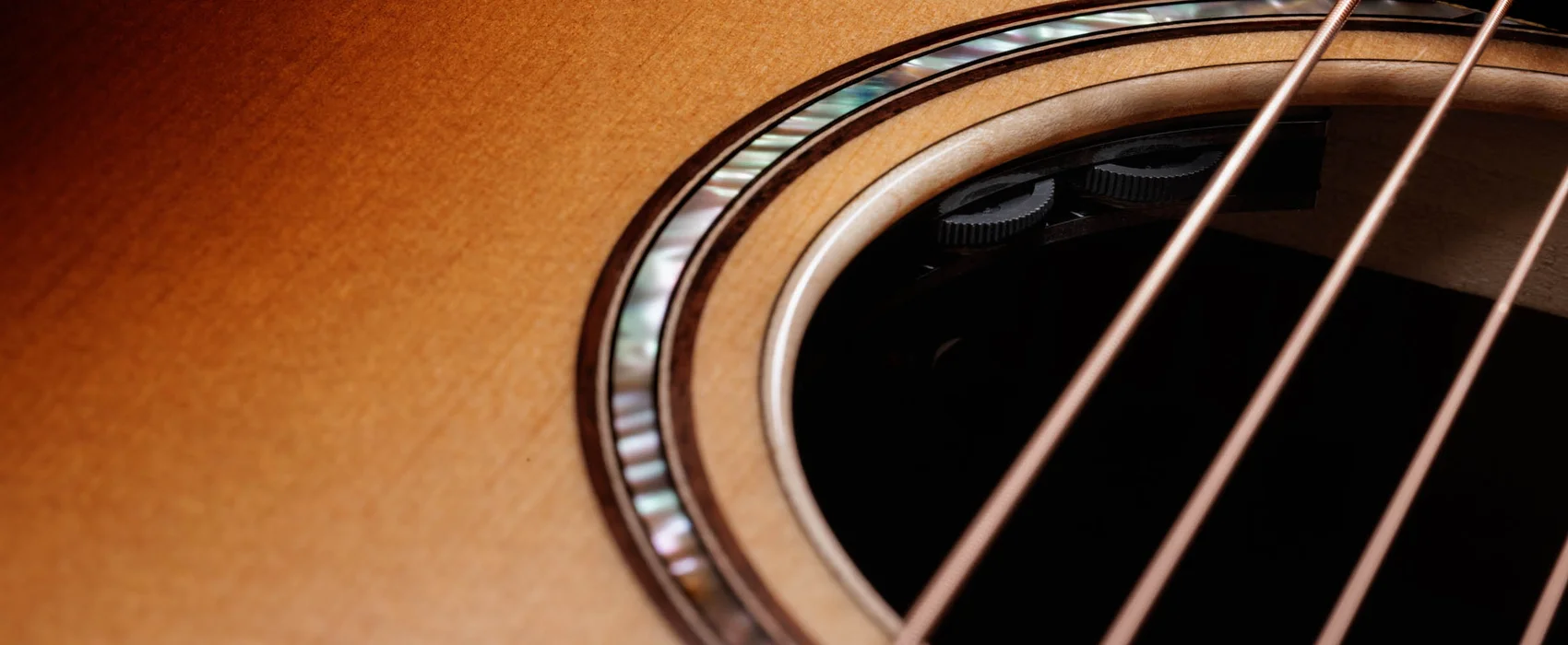 Claria Pickup System Taylor Guitars