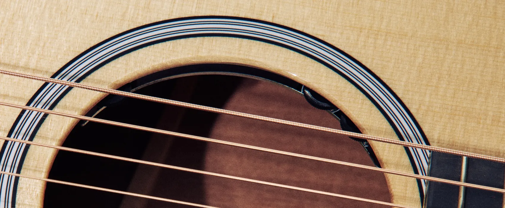 09112025-TAYLOR-ENV-CLARIA PICKUP SYSTEM8121.jpg