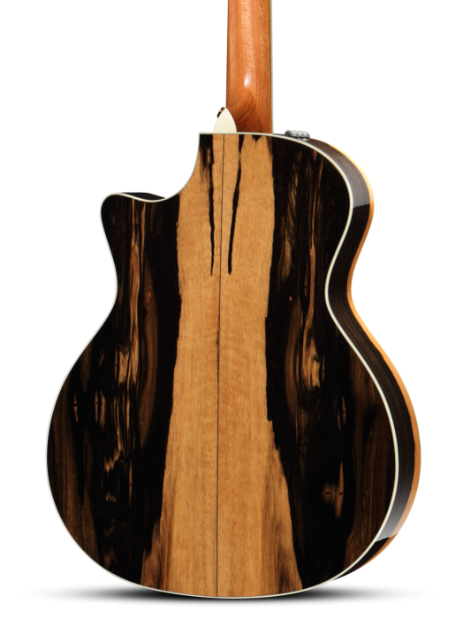 Ebony guitar shop body