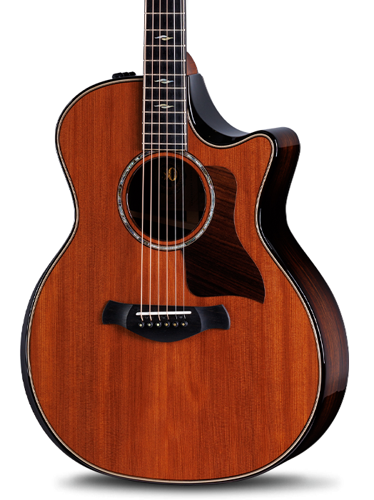 50th Anniversary Collection Acoustic Guitars | Taylor Guitars