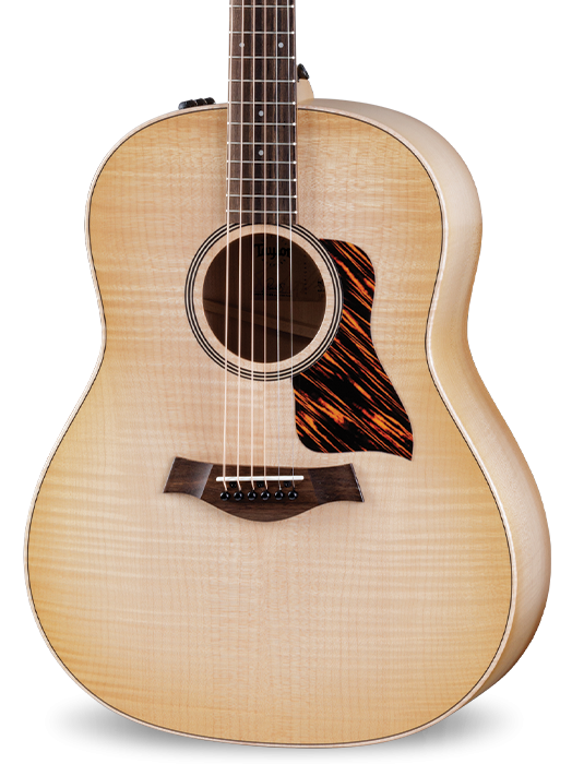 Taylor Big Leaf Maple