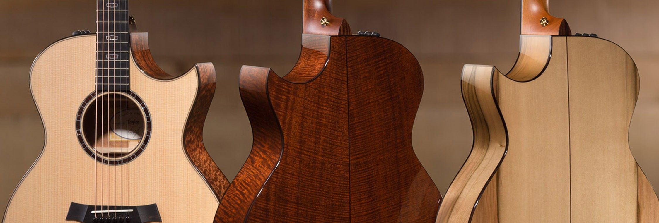 Taylor florentine best sale cutaway