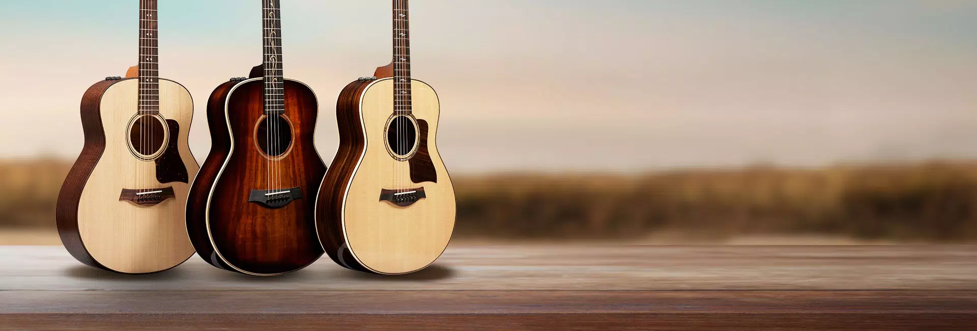 Taylor GT Acoustic Guitar | Taylor Guitars