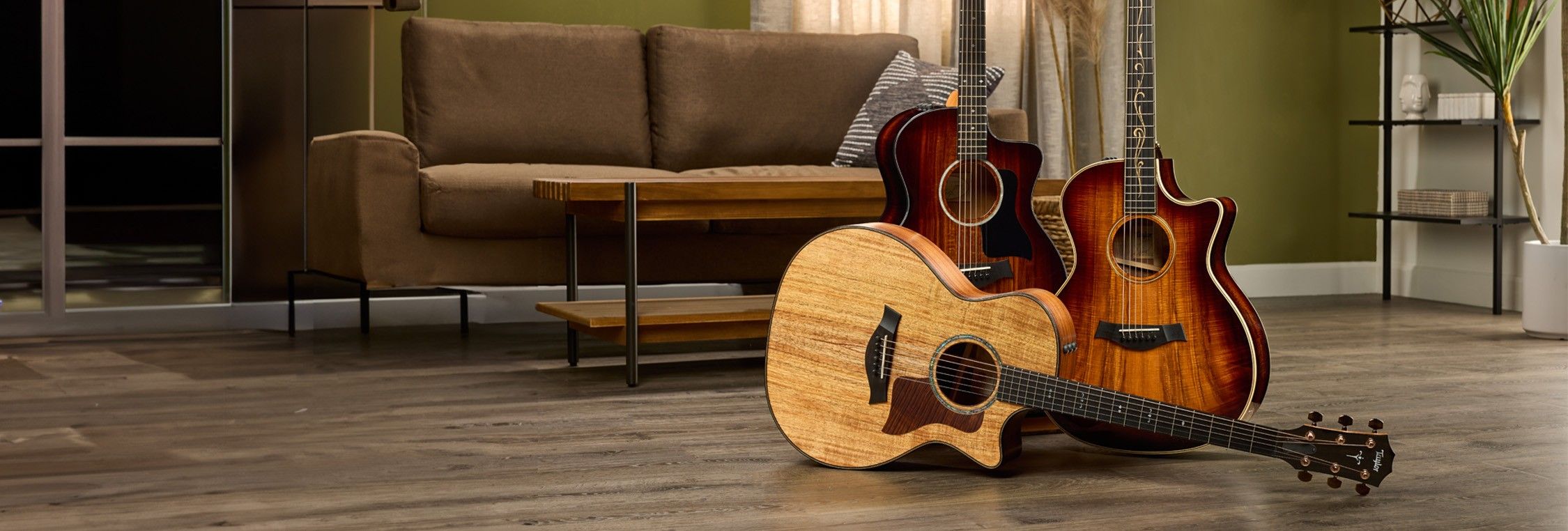 Best taylor hot sale guitar