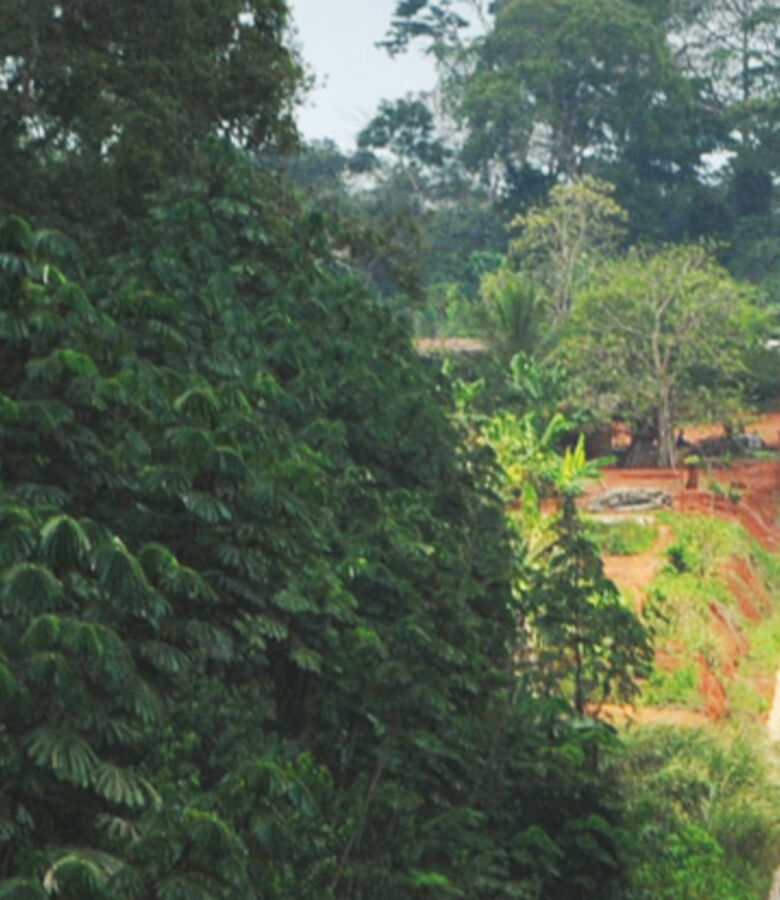 header-crelicam-mill