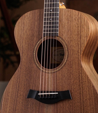 taylor-features-top-woods-walnut