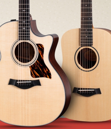 End of Year Promos | Taylor Guitars