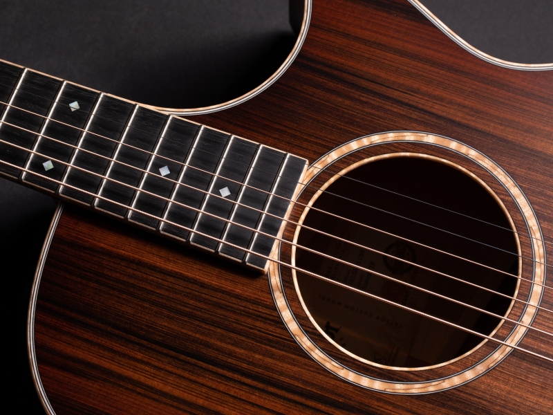 Taylor Customs Program