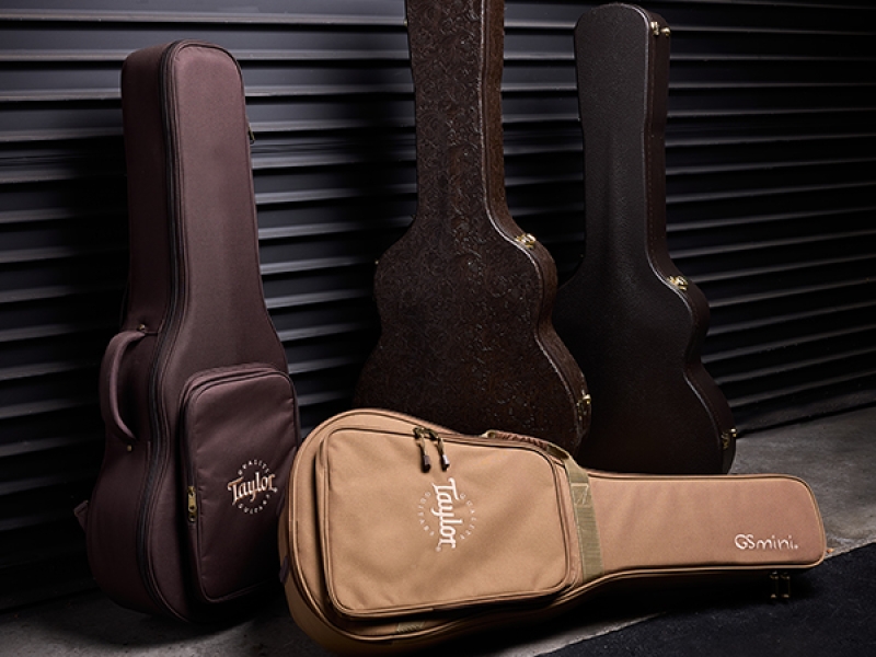 Cases & Gig Bags
