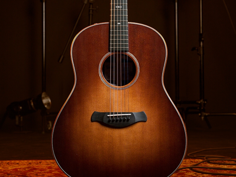 楽天市場】Taylor/テイラー （ケースのみ販売 ） Structured GIG