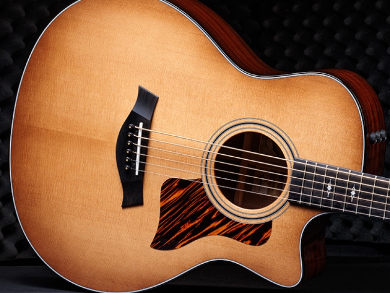 316ce Baritone-6 LTD