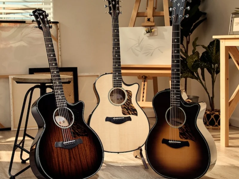 Taylor Guitars | Shop Guitars & Accessories