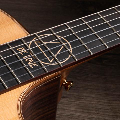 Jason Mraz Signature Model (JMSM)