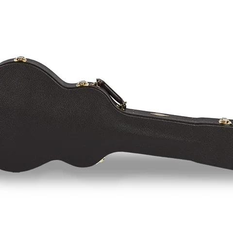 T5z Taylor Deluxe Brown Hardshell Case
