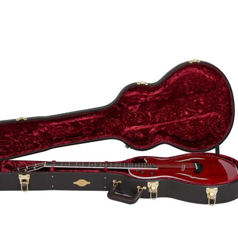 T5z Taylor Deluxe Brown Hardshell Case